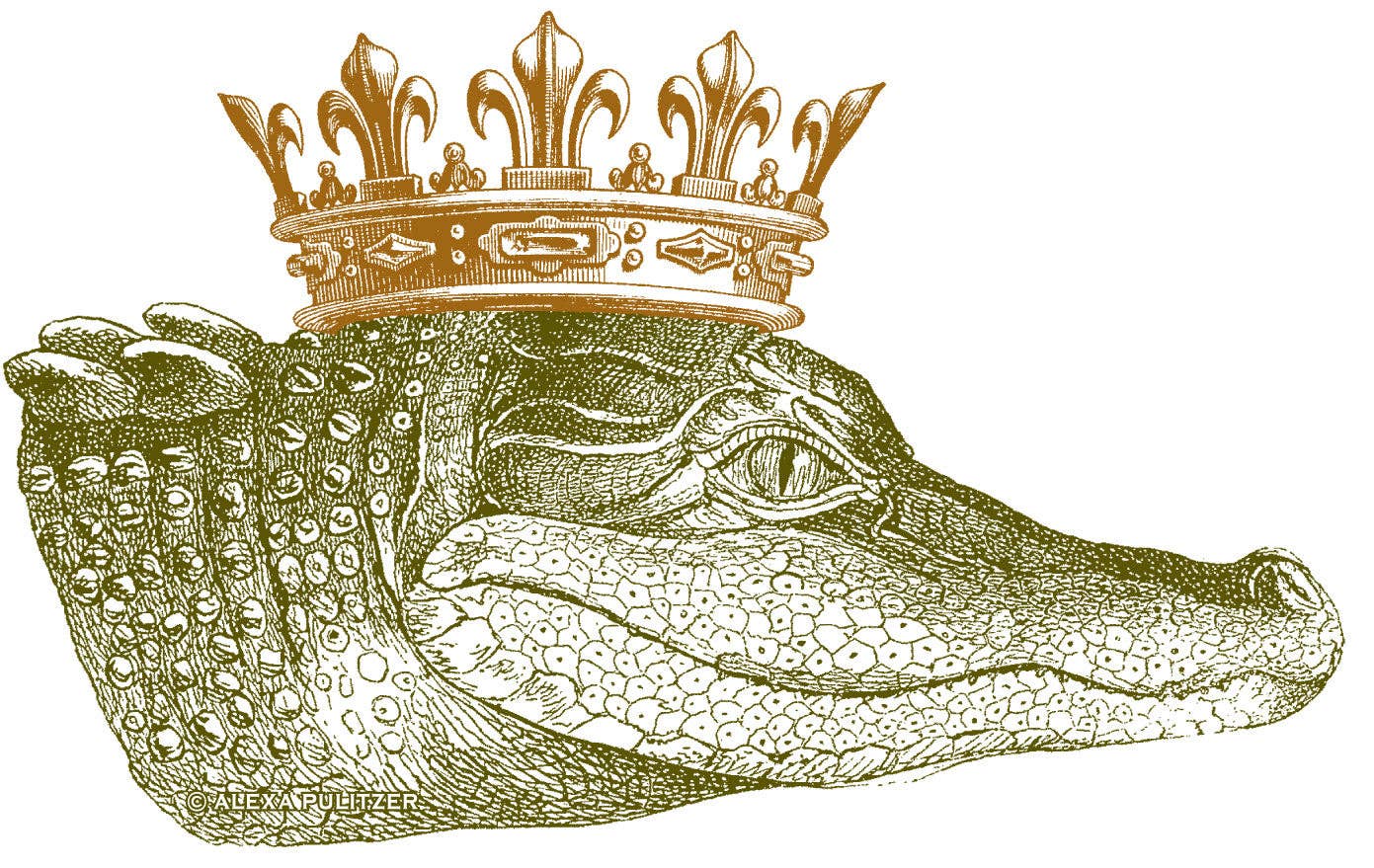 King Gator Flag