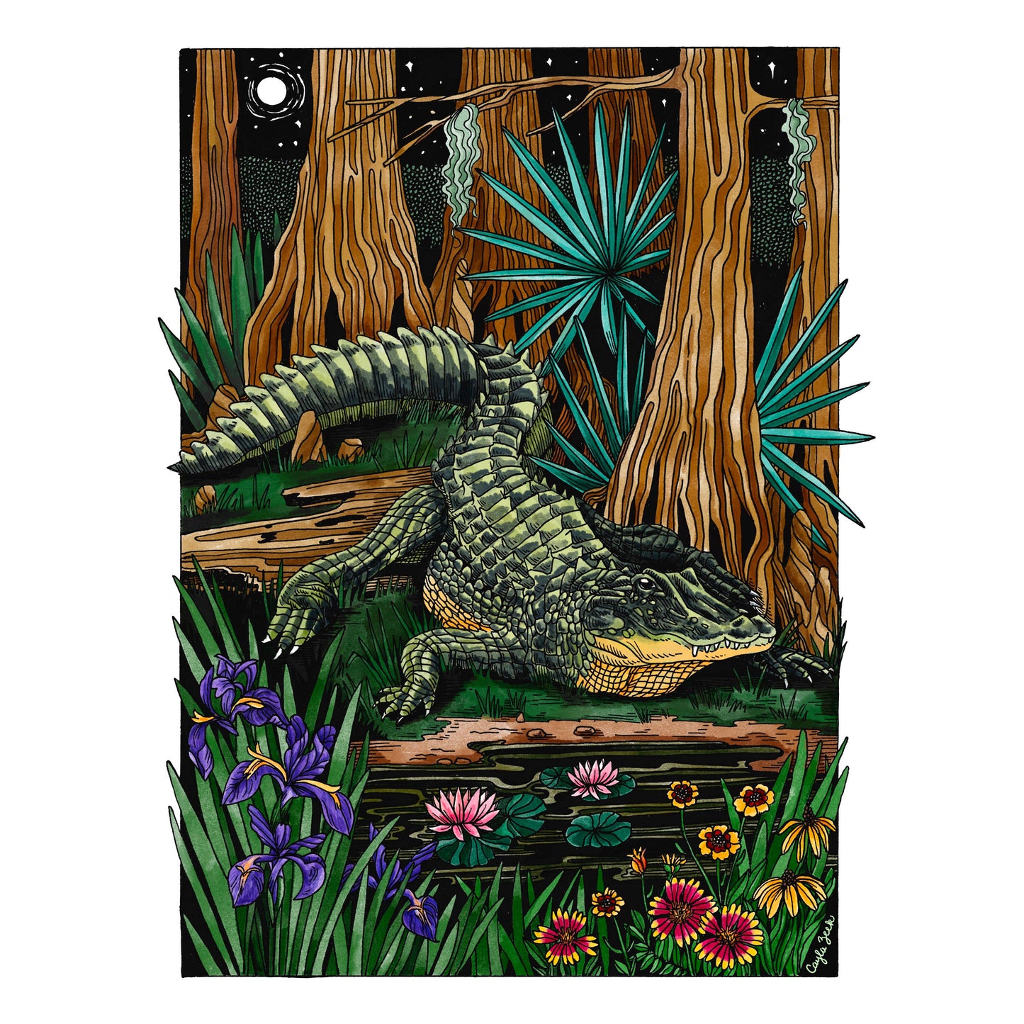 8 x 10  Alligator Art Print