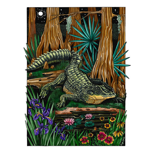 8 x 10  Alligator Art Print