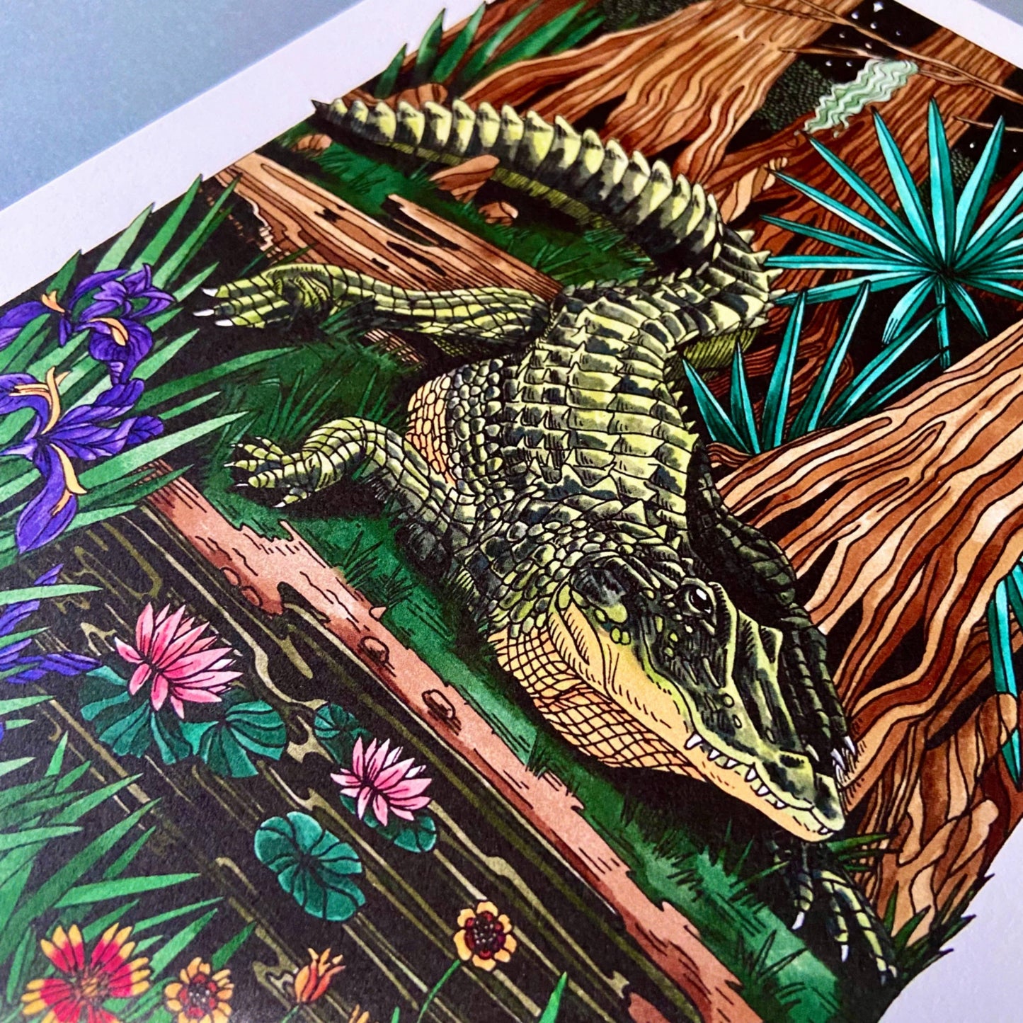 8 x 10  Alligator Art Print